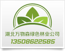 湖北万物森绿色林业有限公司